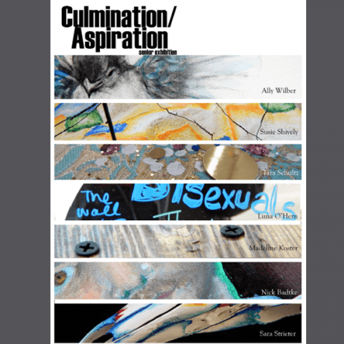 Culmination-Aspiration Senior Art Exhibition 2017