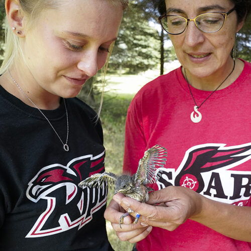 A student and professor look at a small bird