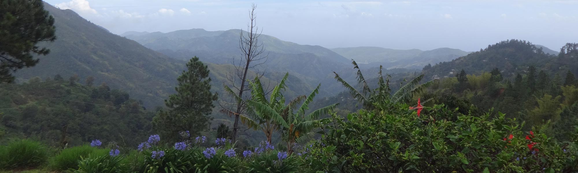 Jamaica as taken from a Ripon student