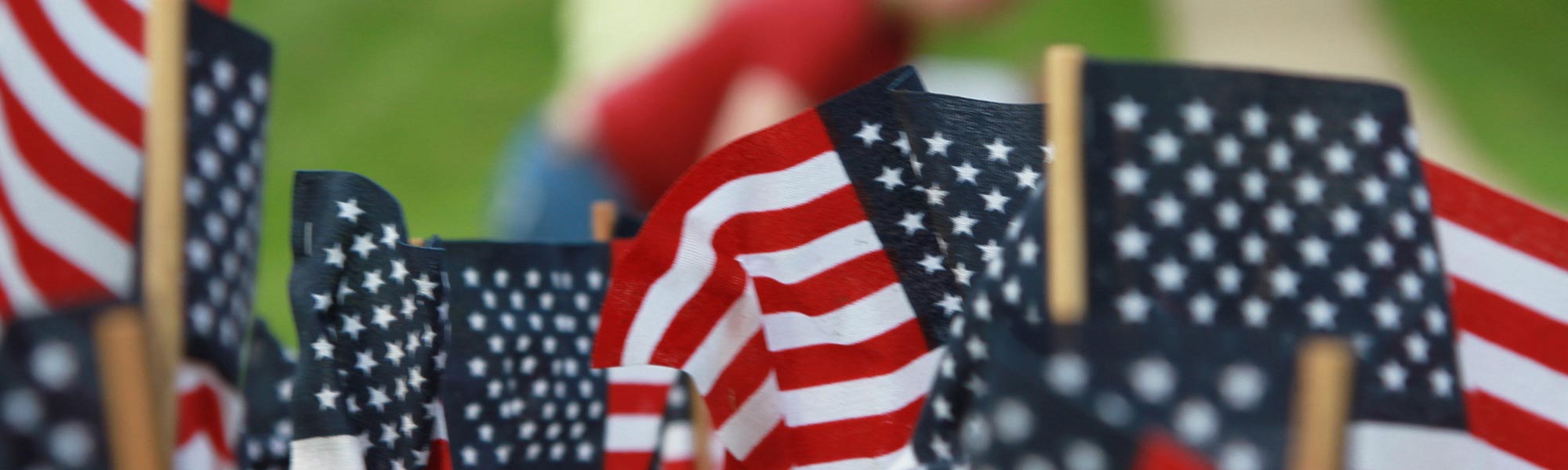 A group of American Flags