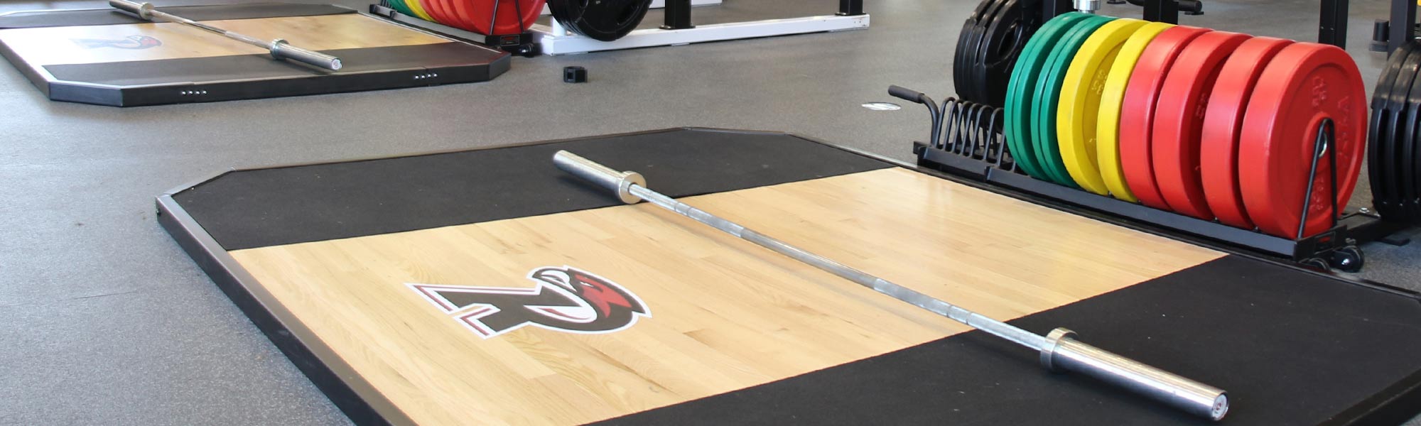 Colorful weights at the Willmore Center