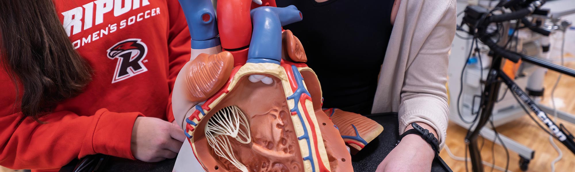 Students and professor learn on human heart model