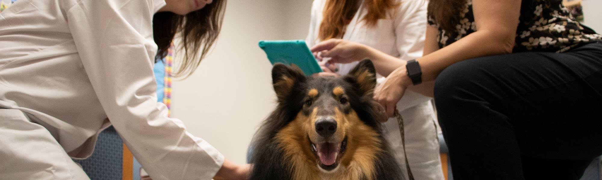 west Hall science with empathy and dogs