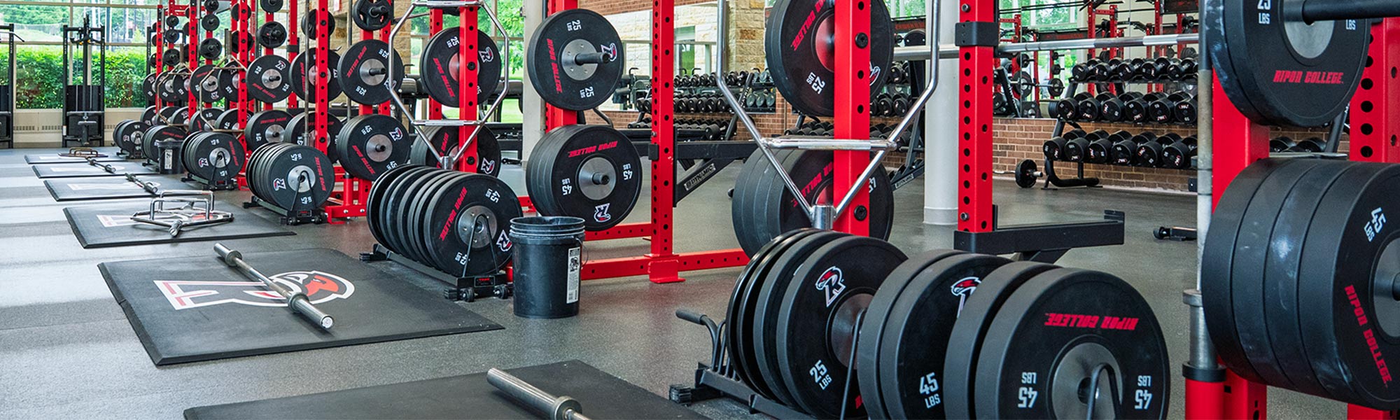Rows of weights at the Willmore center