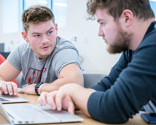 Students engaged on a project