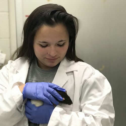 Mica Rivera '21 holding a rat in the lab