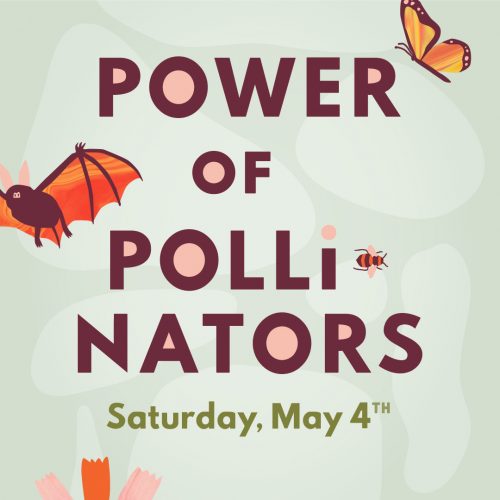 Power of Pollinators