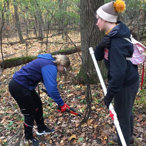 Students in South Woods service project