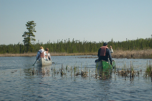 Students in canoes during Flora and Fauna field research