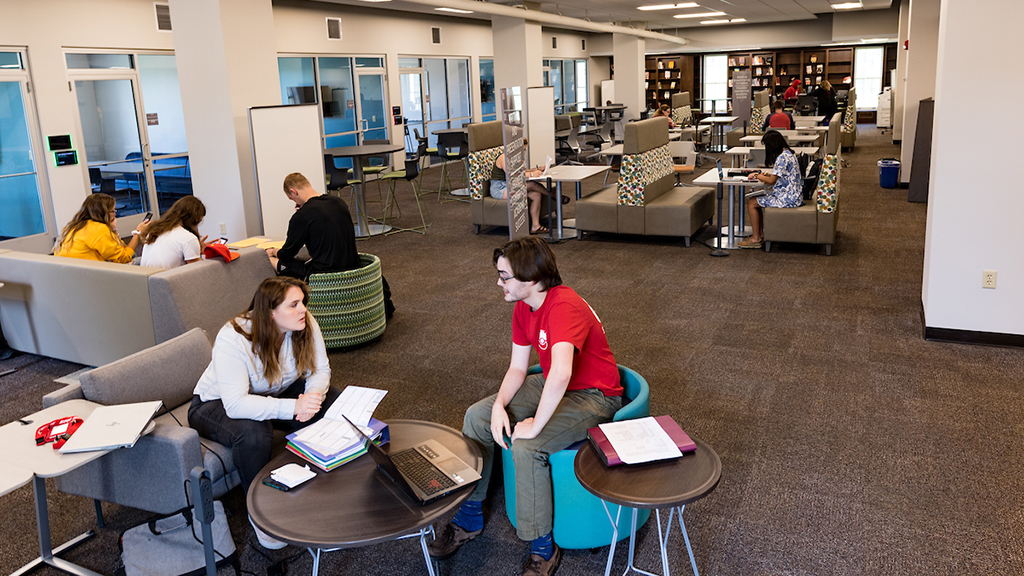 Ripon College students studying in the Franzen Center for Academic Excellence