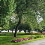 Flowers and trees in Lakeside Park in Fond du Lac, Wisconsin