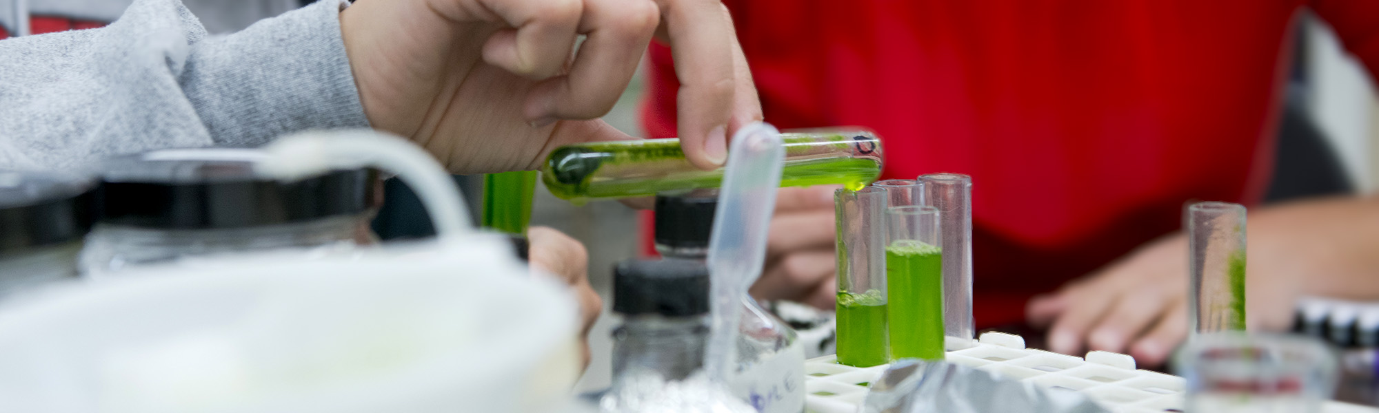 A student carefully fills a mixture of chemicals