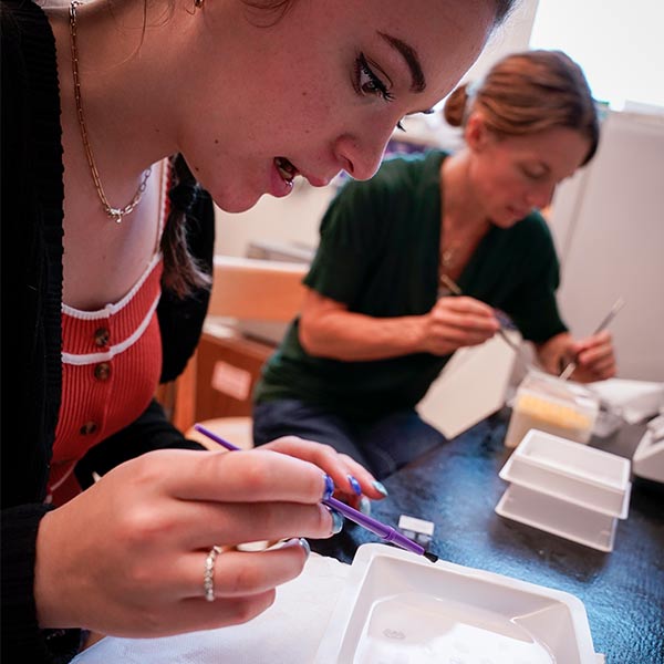 Student and professor work on project in science