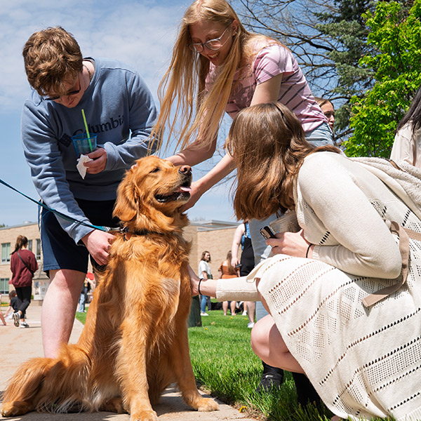 A group of students pet a very happy dog in front of the Pickard Commons.