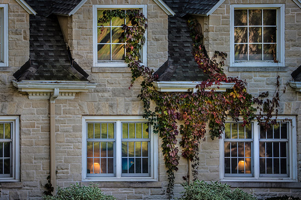 Vines grow on Bartlett's historic building