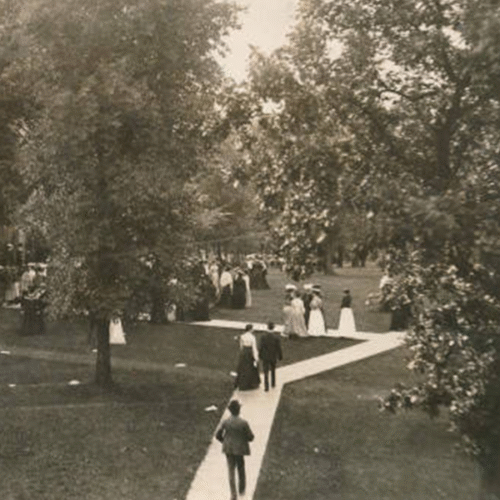 People walk on paths in Ripon