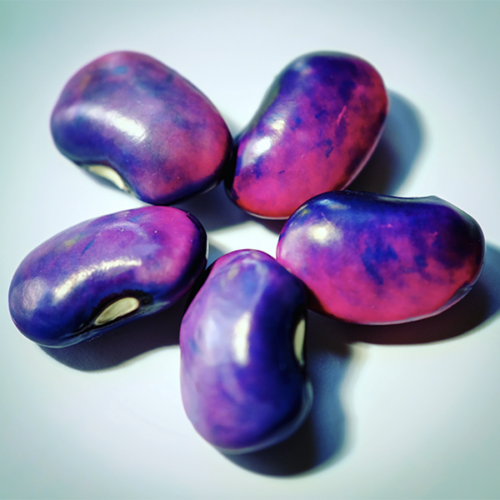 5 purple colored beans arranged in a star shape