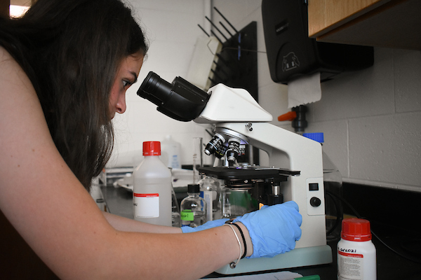 A student looks into a microscope