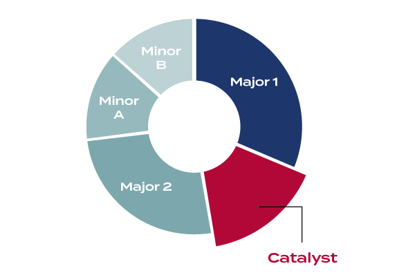 This graph shows the catalyst program fitting in within Majors and minors.