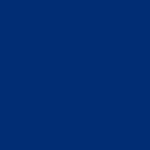 Ripon Branding Blue